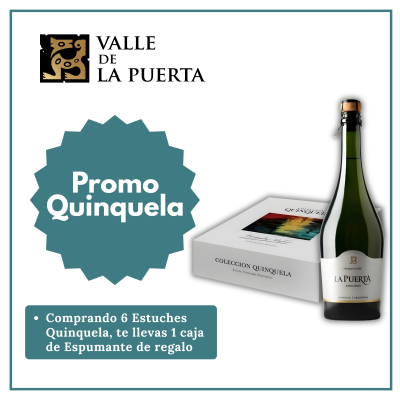 PROMO QUINQUELA VALLE DE LA PUERTA